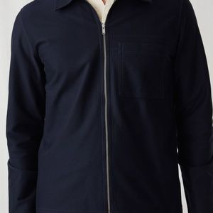 full grown red merle mini aussie